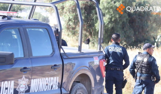 More than 8 vehicles a day will be stolen in Hidalgo during 2026