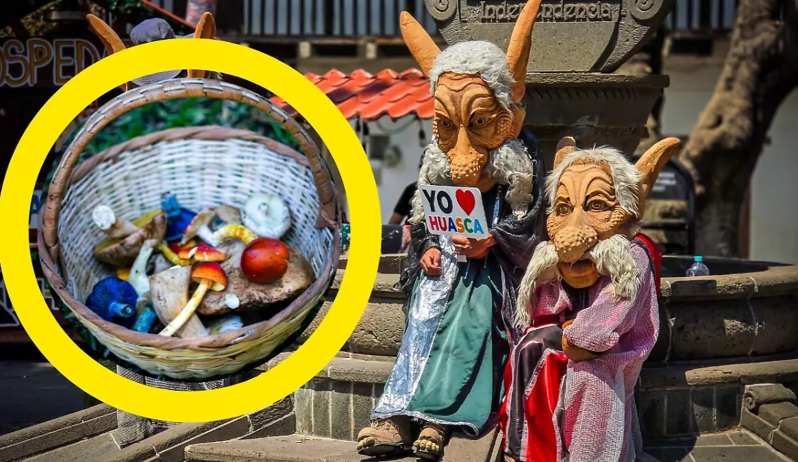 What to do in Huasca in August? Hongosto Fest will feature fireflies, mushrooms, and pulque.