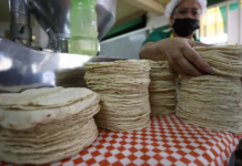 Will the price of tortillas rise in Hidalgo? Here is what producers say about a possible increase.