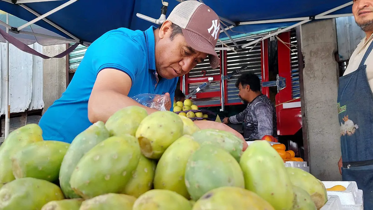 Hidalgo remains one of the leading producers of prickly pears in Mexico.