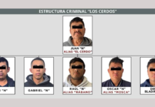 “The Pigs” Taken Down: They Kidnapped and Extorted People in Edomex and Hidalgo While Disguised as Police Officers